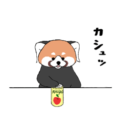 Red panda5