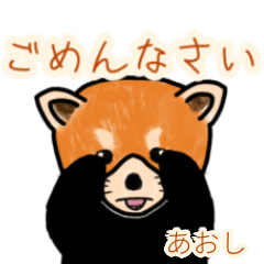 Aoshi's lesser panda