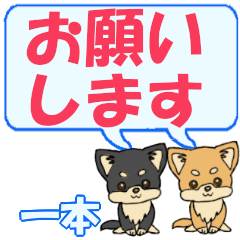 Ichihon's letters Chihuahua2