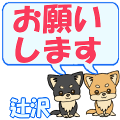 Tsujisawa's letters Chihuahua2