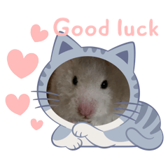 Little the hamster