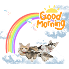 SomSom_20241008221126