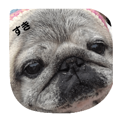 PUG-0923