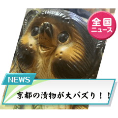 tanuki_20241007213908