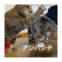 mona_20241009090138