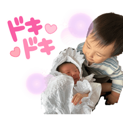 Ayame_20241009115729