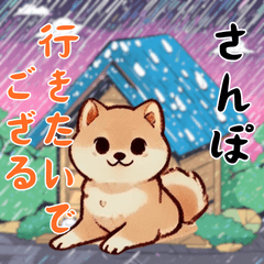 Shiba Inu's Wonderful Adventures