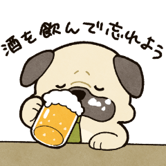 Uncle Pug loves to drink