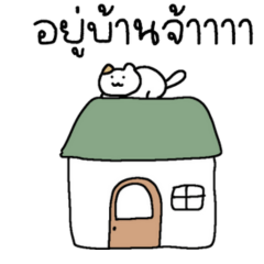 Cat Chat Thai 4