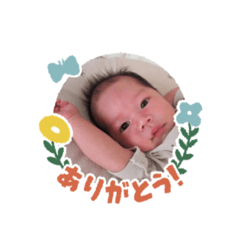 sak_20241009140416