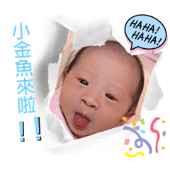 Linnnn_20241010000245
