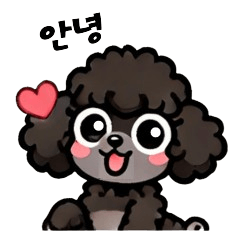 Korean-Speaking Poodle