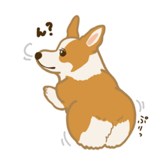 Cute CORGI is the Coo-chan