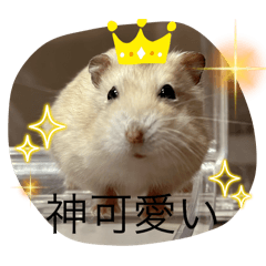 Two hamsters. ToranosukeandBJ