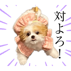 nanamin_20241009153322