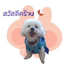 SomSom_20241009234323