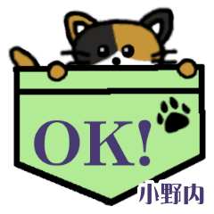 Onouchi's Pocket Cat's  [2]