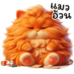 Lazy orange fat cat