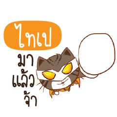 TAIPE Piakpoon man