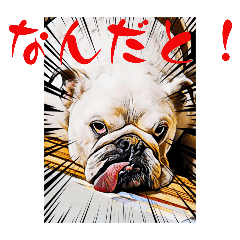 Takezoo_20241010012937