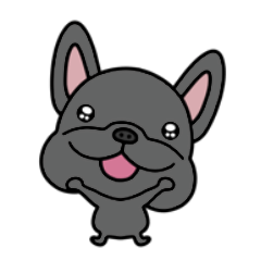 Brindle French Bulldog for everyday use