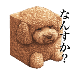 Embed Square Dog murmur