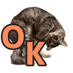 motsuko_20241010123038