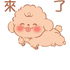 Le petit Roi sticker - Chinese 02