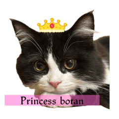 Princess botan