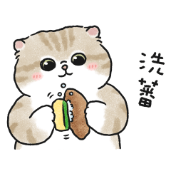 奶油小生的諧音梗(奶油虎斑貓)