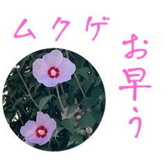 Floral Photo Stickers