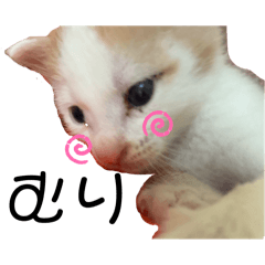 minekun_20241010174123