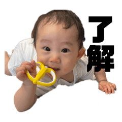 koyatan_20241010162335