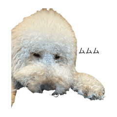 Kaff_20241010210821
