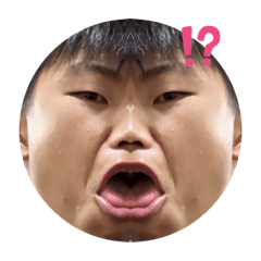 Seita1224_20241010211636