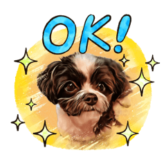 Chiruru_20241010215657