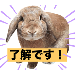 Ji_20241010200916