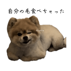 2002_20241010233947