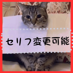 ⚫メッセージキャット【セリフ変更可能】