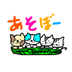 ねこのカールとお兄さんたち