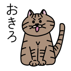 brown tabby cat 2