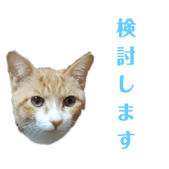 Brown tabby cat sticker  by tsuyopon