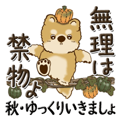 Shiba-inu/Brown dog(autumn)