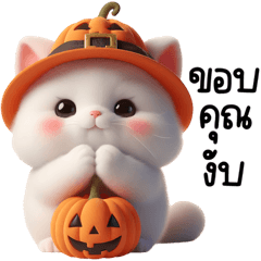 Cat Pumpkin Halloween