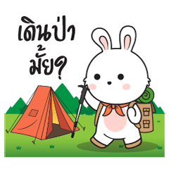 Bunny Camping