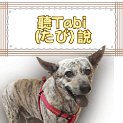 聽Tabi(たび)說