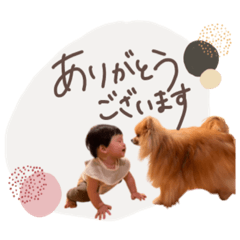 chisa_20241012064303