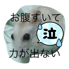 Masakichi_20241011164551