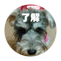 Toshimaen_2024101200255