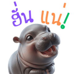 Cute pygmy hippo!